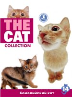 The Cat collection № 14 : Сомалийский кот