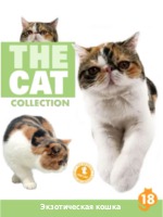 The Cat collection № 18 : Короткошерстный экзот