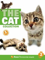 The Cat collection № 2 : Полосатая кошка