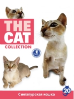 The Cat collection № 20 : Сингапурская кошка
