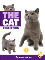 The Cat collection № 25 : Британский короткошерстный кот
