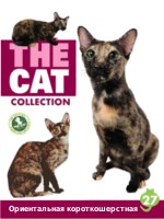 The Cat collection № 27 : Восточный короткошёрстный кот
