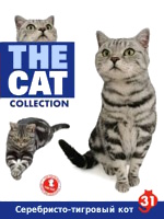 The Cat collection № 31 : Серебристый тэбби