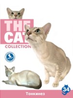 The Cat collection № 34 : Тонкинская кошка 