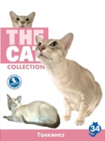 The Cat collection № 34 : Тонкинская кошка