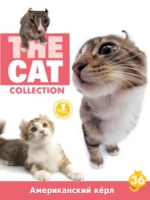 The Cat collection № 36 : Американская кёрл