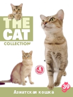 The Cat collection № 39 : Азиатская кошка 