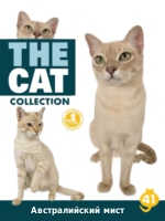 The Cat collection № 41 : Австралийский мист