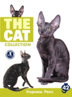 The Cat collection № 42 : Корниш-рекс 