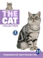The Cat collection № 53 : Американский короткошерстный кот