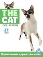 The Cat collection № 57 : Ориентальная двуцветная кошка