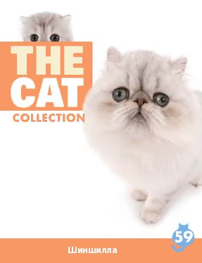 The Cat collection № 59 : Шиншилла