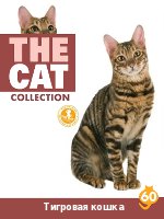 The Cat collection № 60 : Тигровая кошка