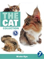 The Cat collection № 7 : Мейн-Кун